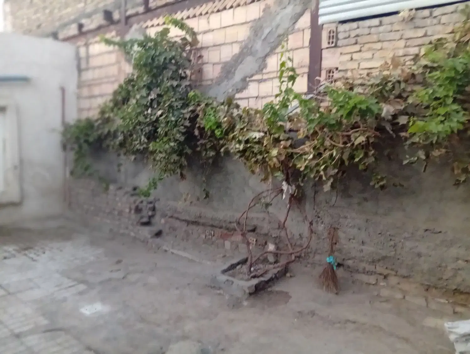 تصویر 13