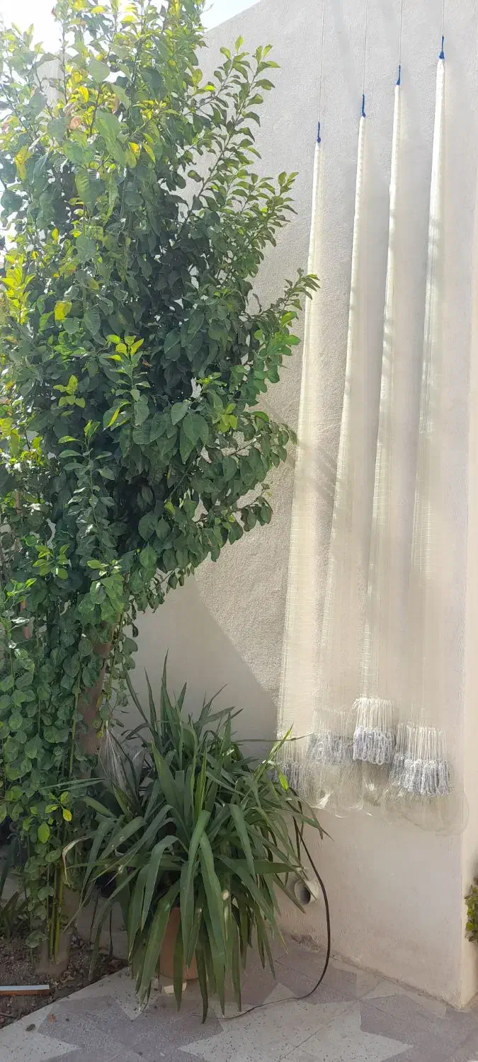 تور تایلندی درجه یک|ماهیگیری|اصفهان, چرخاب|دیوار