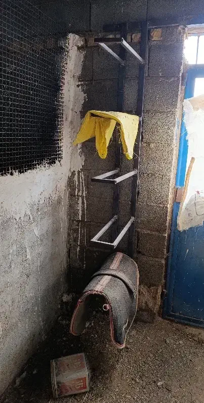 رگال زین پنج تایی محکم|فروشگاه و مغازه|داران, |دیوار