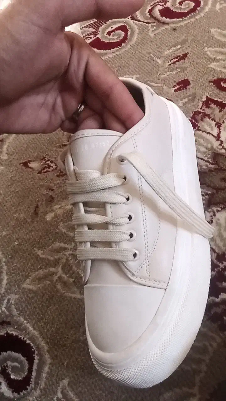 مفت مفت|کیف، کفش، کمربند|نورآباد, |دیوار