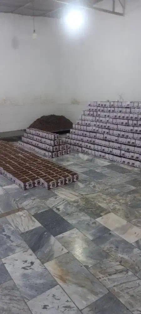 خرما کبکاب بوشهر|عمده‌فروشی|اردبیل, |دیوار