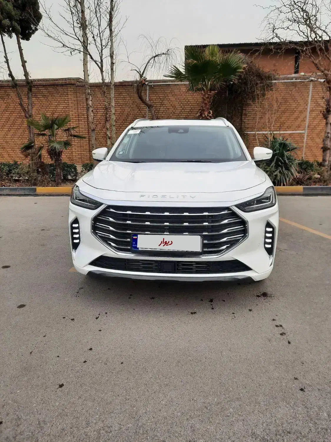 فیدیلیتی پرستیژ|خودرو سواری و وانت|تهران, درختی|دیوار