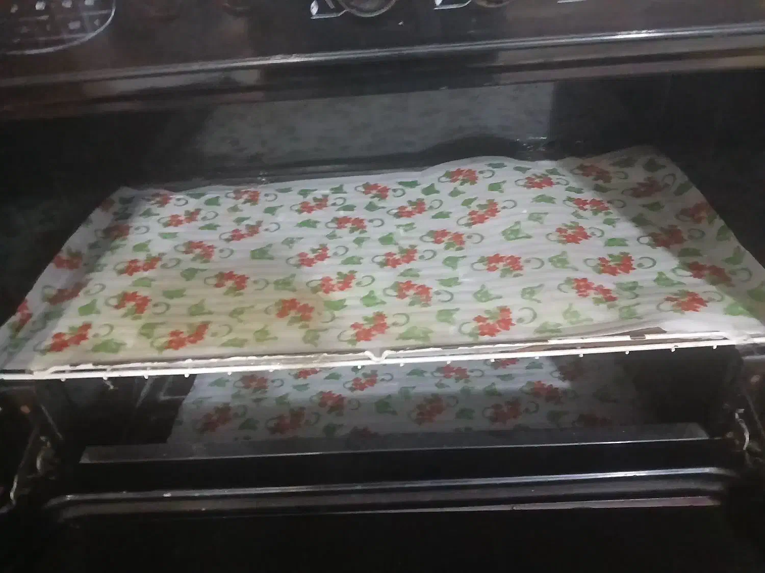 گاز|اجاق گاز و لوازم برقی پخت‌وپز|فشاپویه, |دیوار