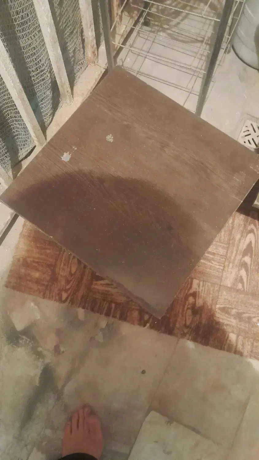 میز سالم|مبلمان خانگی و میز عسلی|پاکدشت, پاکدشت (مامازند)|دیوار