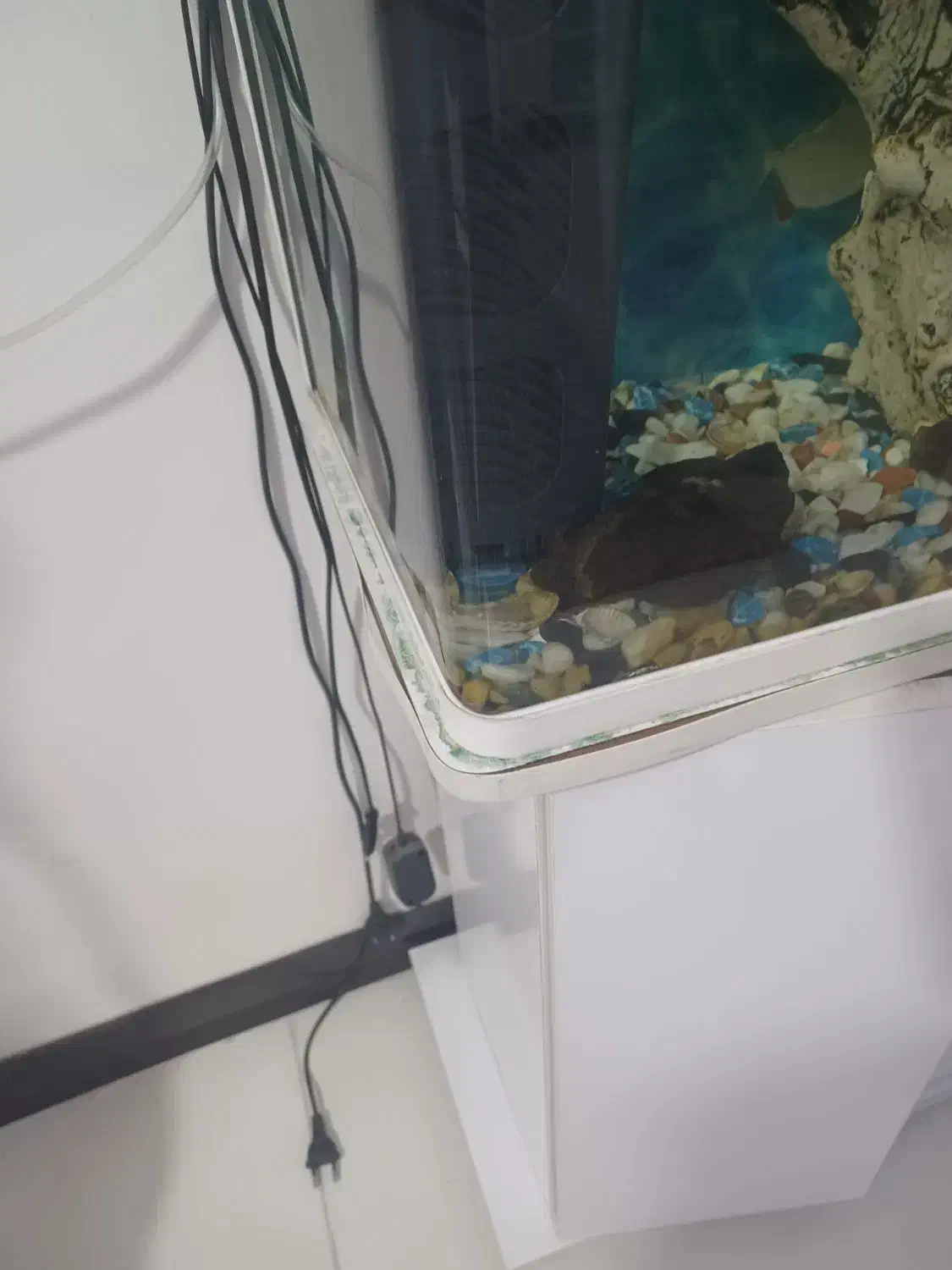 اکواریوم شرکتی شیشه خم|ماهی|چهاردانگه (تهران), |دیوار