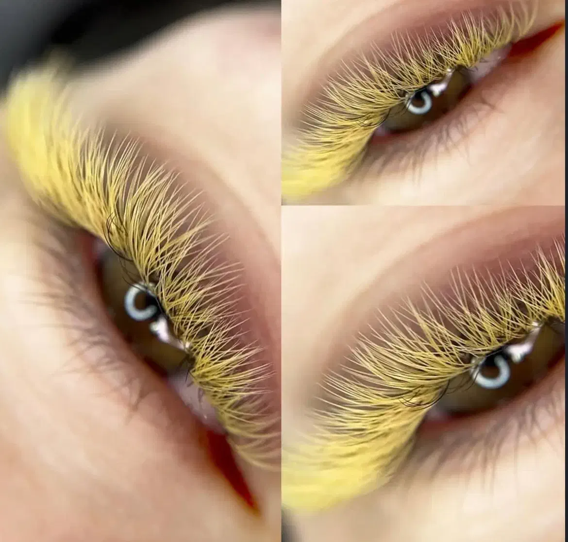 اکستنشن مژه و لیفت لمینت مژه و ابرو|خدمات آموزشی|رشت, رشتیان|دیوار