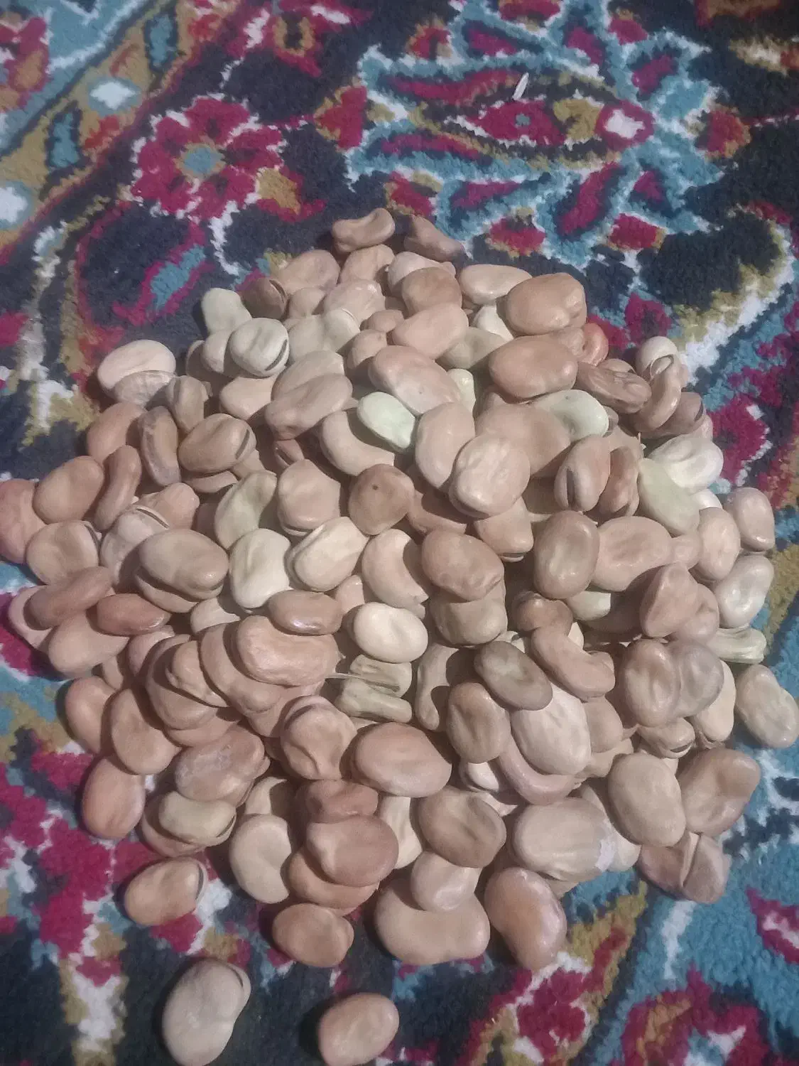 باقالا درجه یک|خوردنی و آشامیدنی|خان ببین, |دیوار