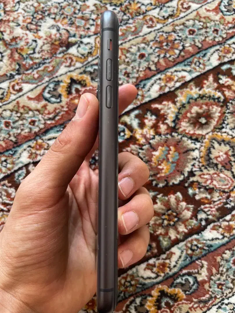 آیفون 11|موبایل|بانه, |دیوار