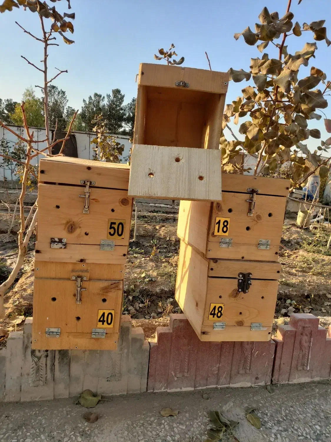 لانه مخصوص انواع طوطی|لوازم جانبی حیوانات|کهریزک, |دیوار