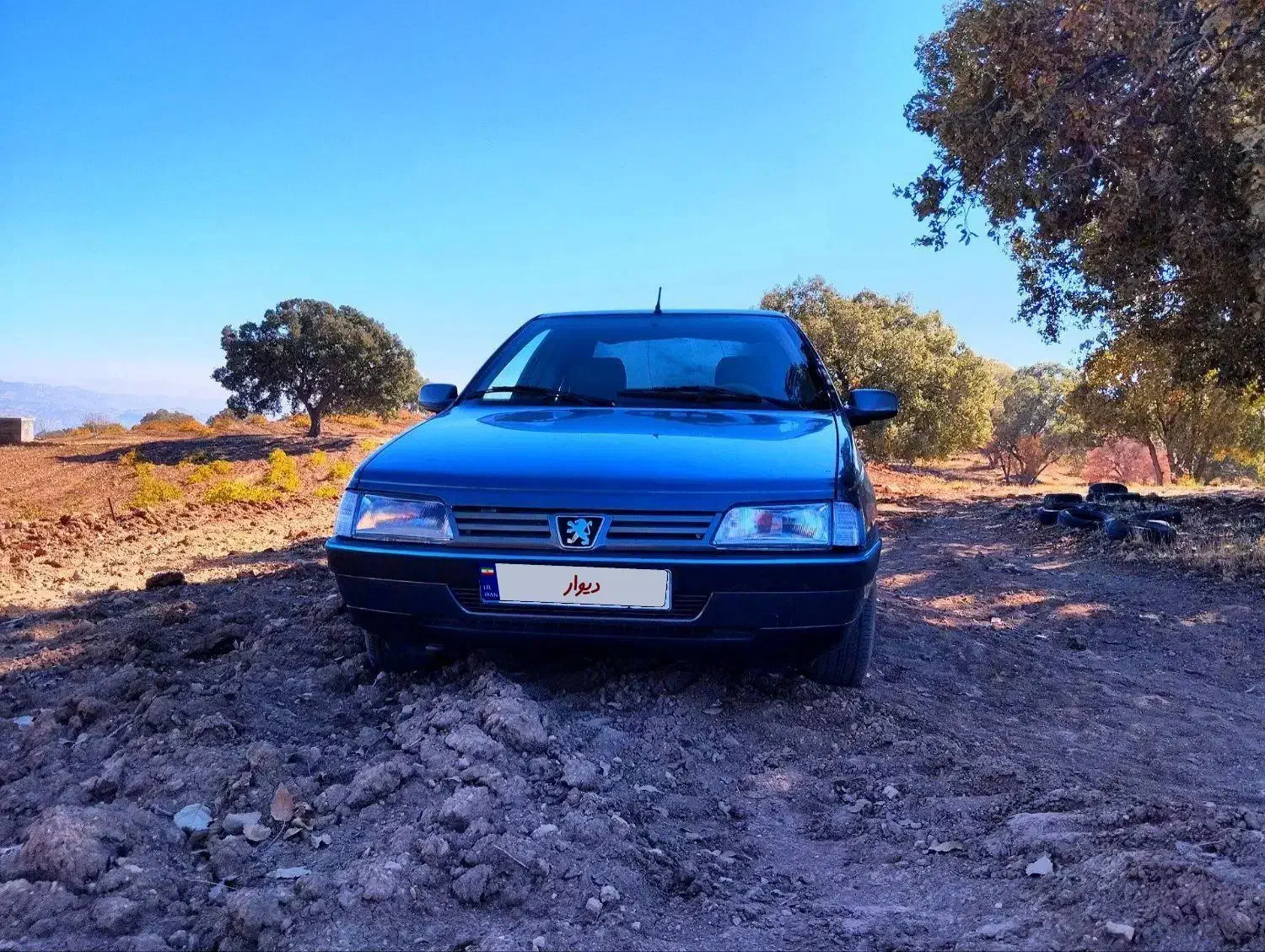 خودرو ۴۰۵فروشی|خودرو سواری و وانت|نورآباد ممسنی, |دیوار