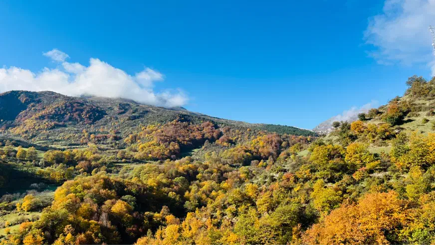 زمین فروشی روستای سنگسرک|فروش زمین و ملک کلنگی|پل سفید, |دیوار