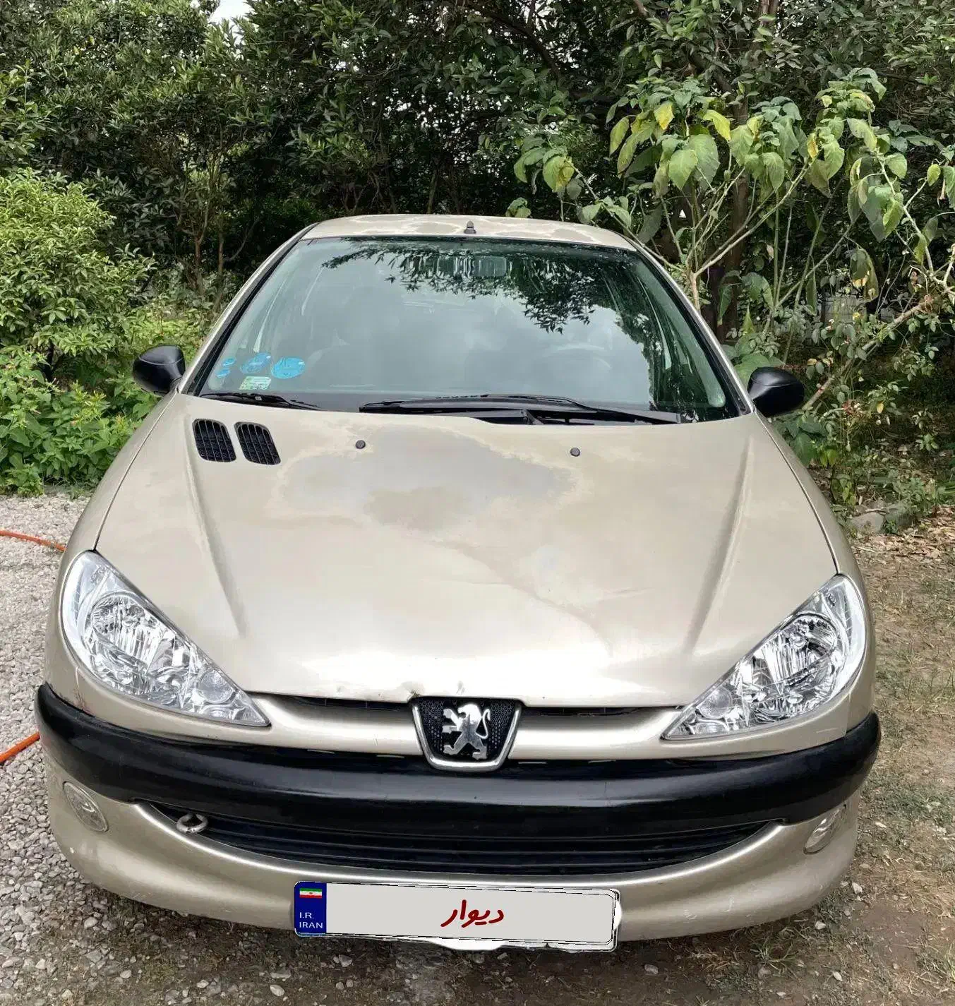 پژو ۲۰۶ مدل ۸۲|خودرو سواری و وانت|نوشهر, |دیوار