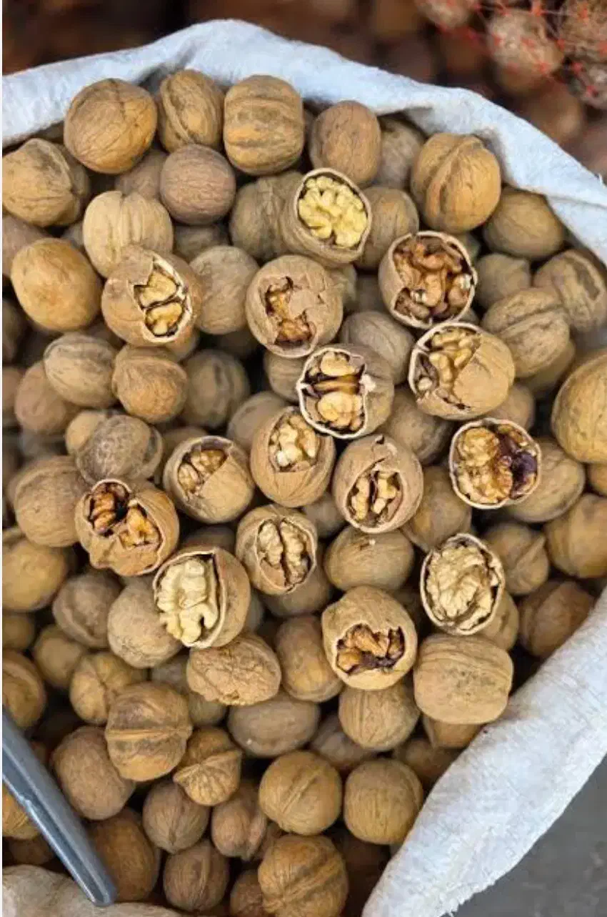 گردو|خوردنی و آشامیدنی|تهران, شمس‌آباد|دیوار