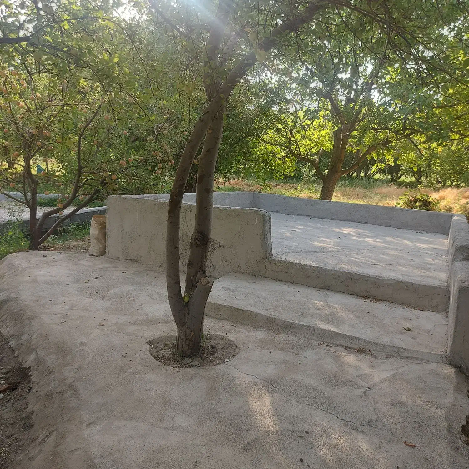 ۲۱۰۰متر باغ جاده دهبوره زیر قیمت|فروش زمین و ملک کلنگی|نهاوند, |دیوار