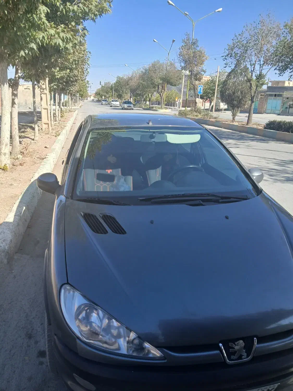 پژو۲۰۶|خودرو سواری و وانت|مروست, |دیوار