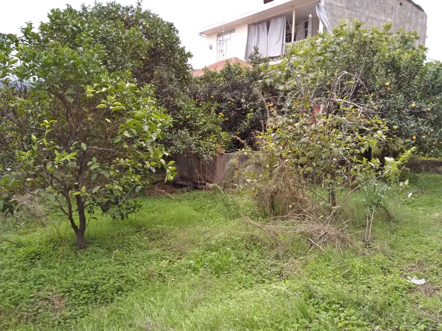 فروش یک قطعه زمین تجاری مسکونی به متراژ ۵۶۰ متر|فروش زمین و ملک کلنگی|خلیل شهر, |دیوار