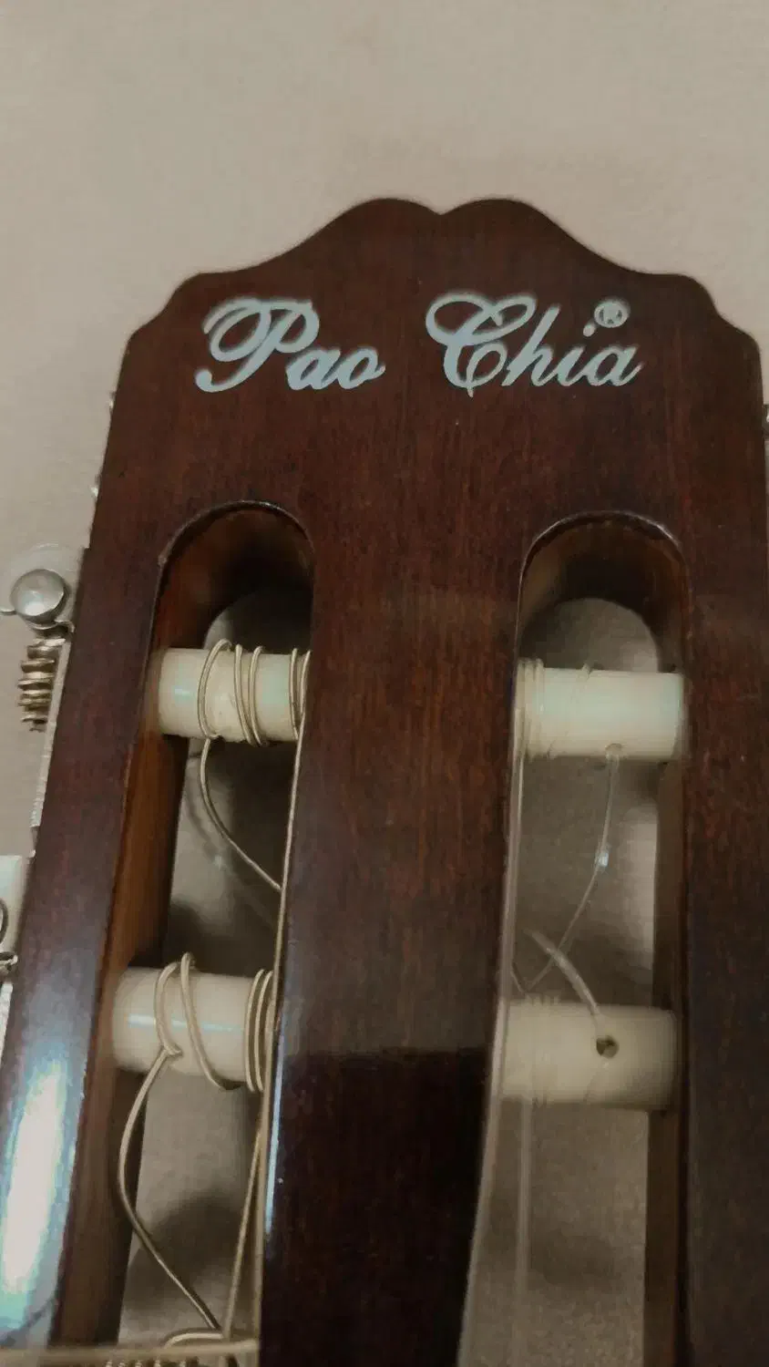 گیتار اصل پائوچیا|گیتار، بیس، امپلیفایر|تبریز, |دیوار