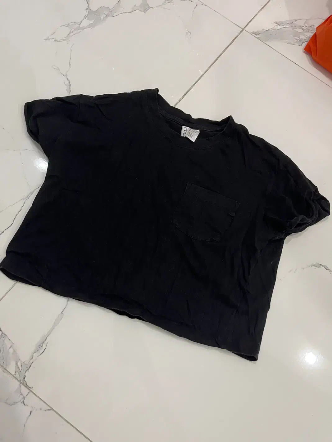 شومیز،استین بلند،کراپ|لباس|رشت, گلسار|دیوار