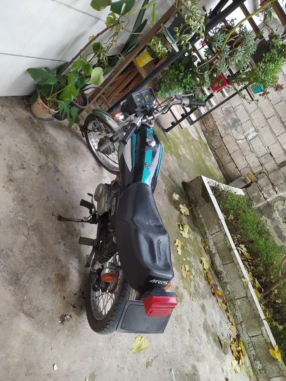 موتور 125 ونوس|موتورسیکلت|لاهیجان, بازکیاگوراب|دیوار