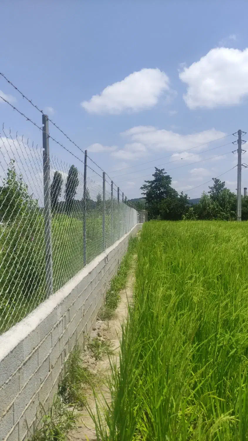 فنس تولید و نصب|خدمات باغبانی و درختکاری|قائم‌شهر, |دیوار