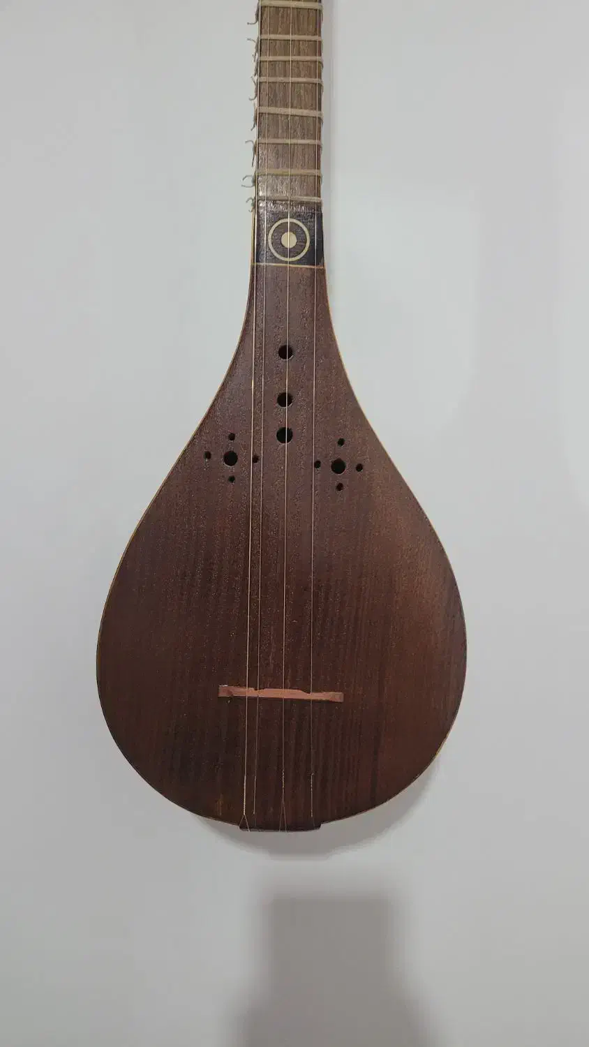 سه‌تار حرفه‌ای مهر برقی جانی|سازهای سنتی|سردشت, |دیوار