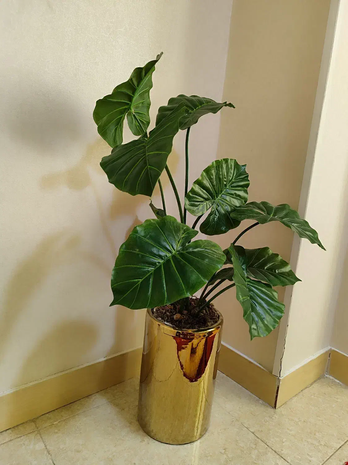 گل وگلدان زیبا|گل مصنوعی|کرج, حیدرآباد|دیوار