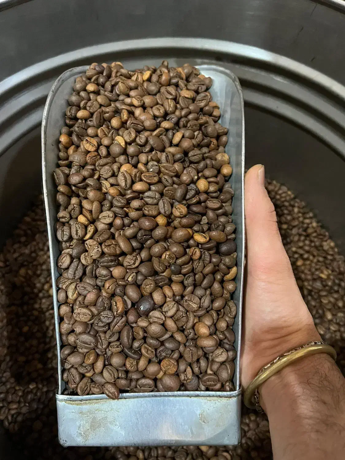 قهوه گلد برزیل Cocam و انواع میکس|عمدهفروشی|شیراز, گلکوب|دیوار