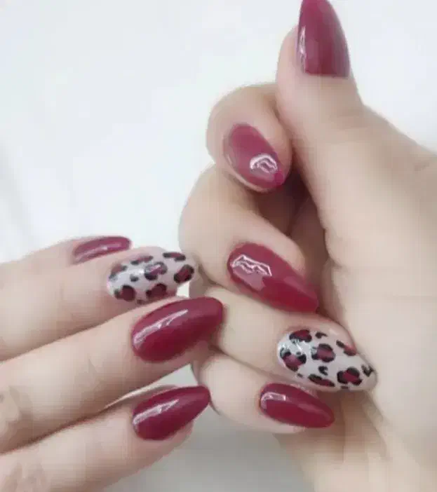 کاشت ناخن|خدمات آرایشگری و زیبایی|صومعه‌سرا, |دیوار