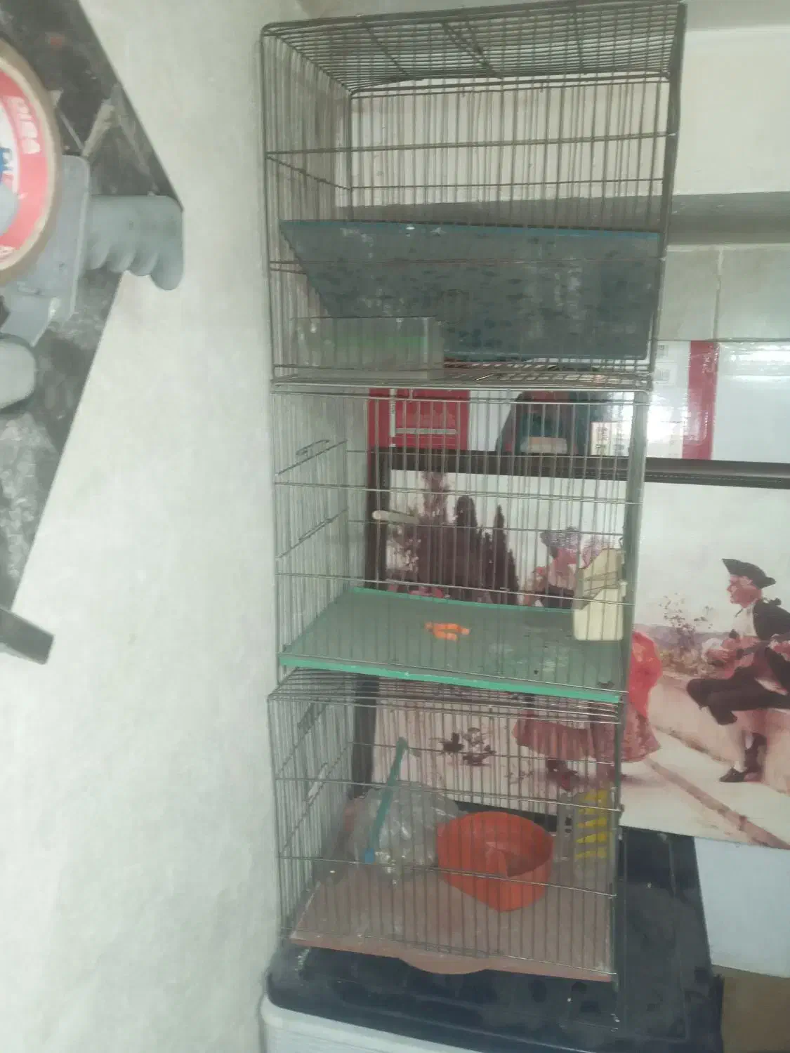 قفس پرنده|لوازم جانبی حیوانات|تهران, علم و صنعت|دیوار