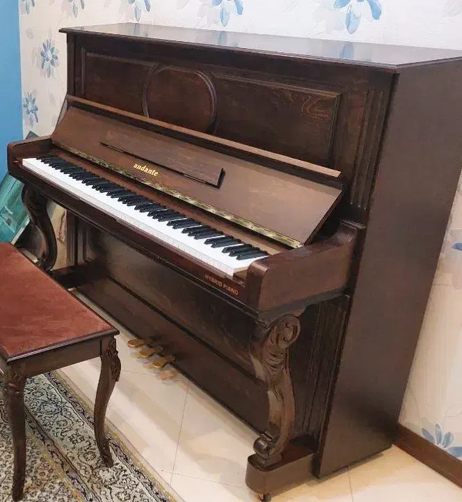 پیانو هیبرید اندانته فوق العاده با کیفیت|پیانو، کیبورد، آکاردئون|مشهد, سرافرازان|دیوار