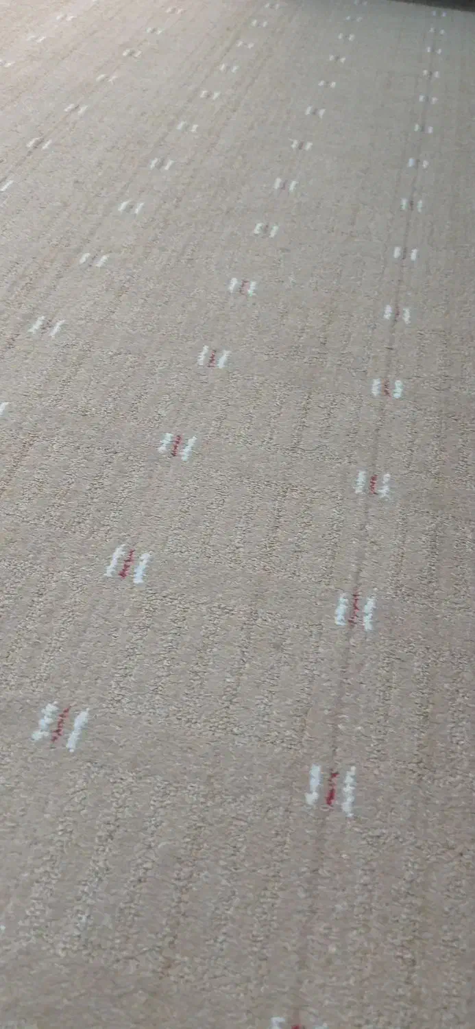 فروش پالاز موکت|موکت|یاسوج, |دیوار