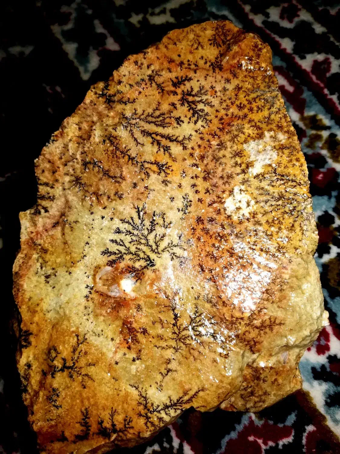 سنگ شجر|کلکسیون اشیاء عتیقه|برخوار, |دیوار