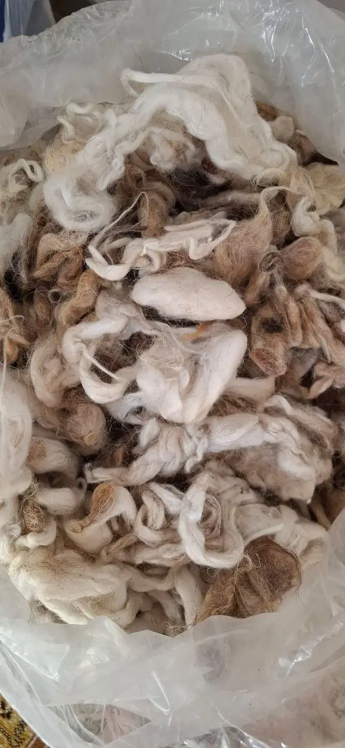 پشم تشکی|رختخواب، بالش، پتو|گنبد کاووس, |دیوار