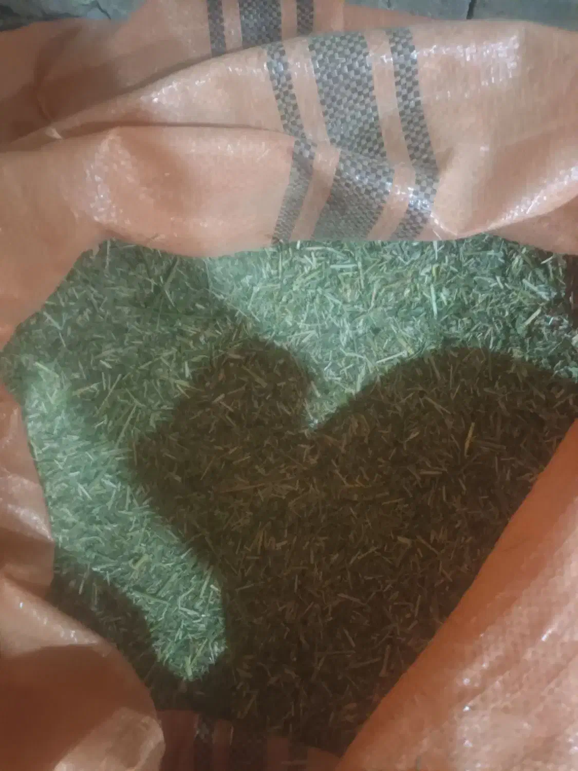 یونجه|لوازم جانبی حیوانات|سنندج, |دیوار