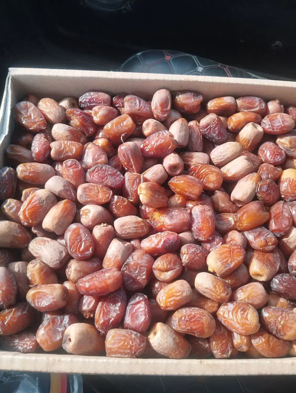 خرما پوپو|خوردنی و آشامیدنی|مهرستان, |دیوار