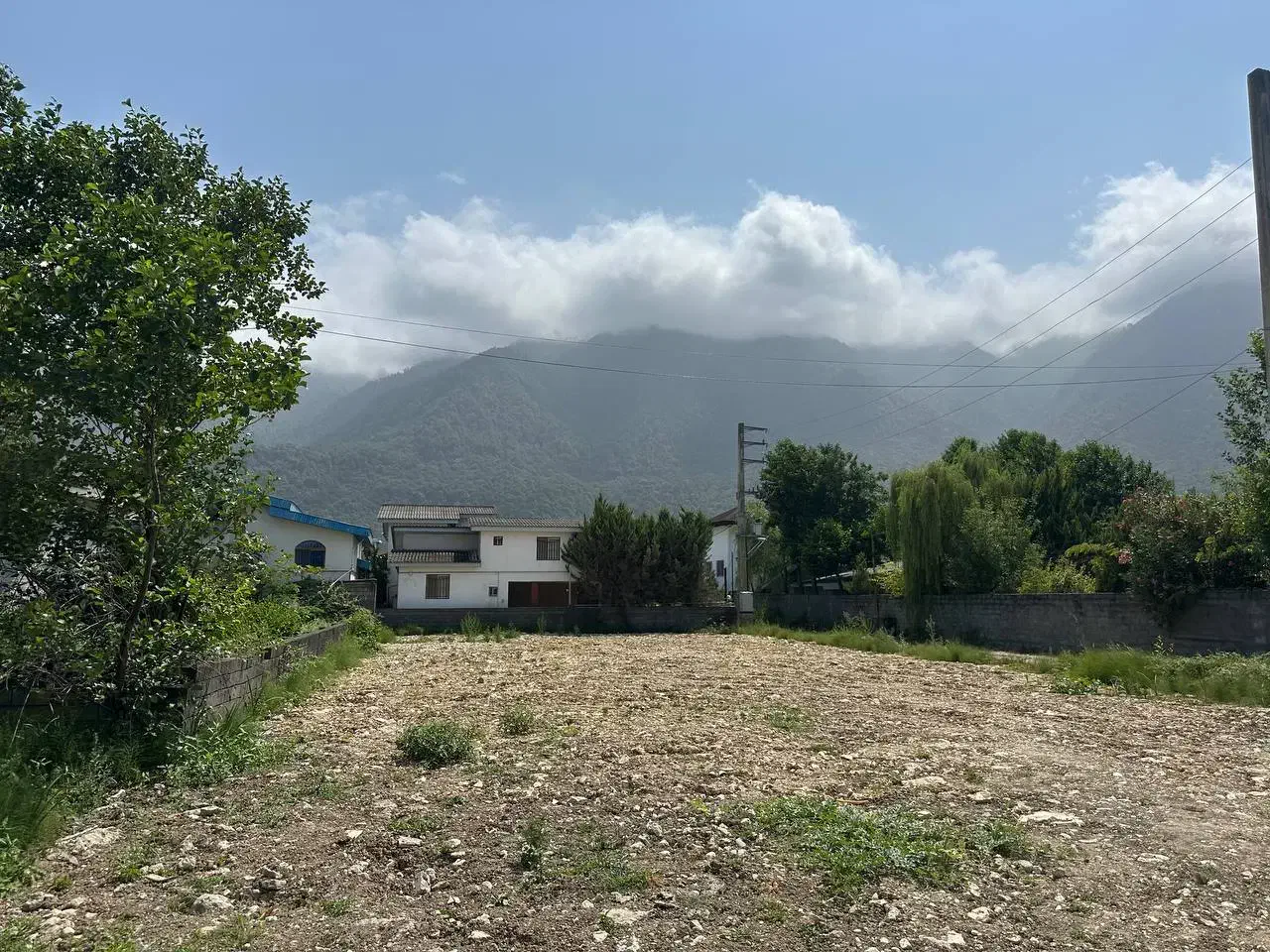 *فووری زمین زیرقیمت*سندتکبرگ انشعابات اختصاصی|فروش زمین و ملک کلنگی|رویان, |دیوار