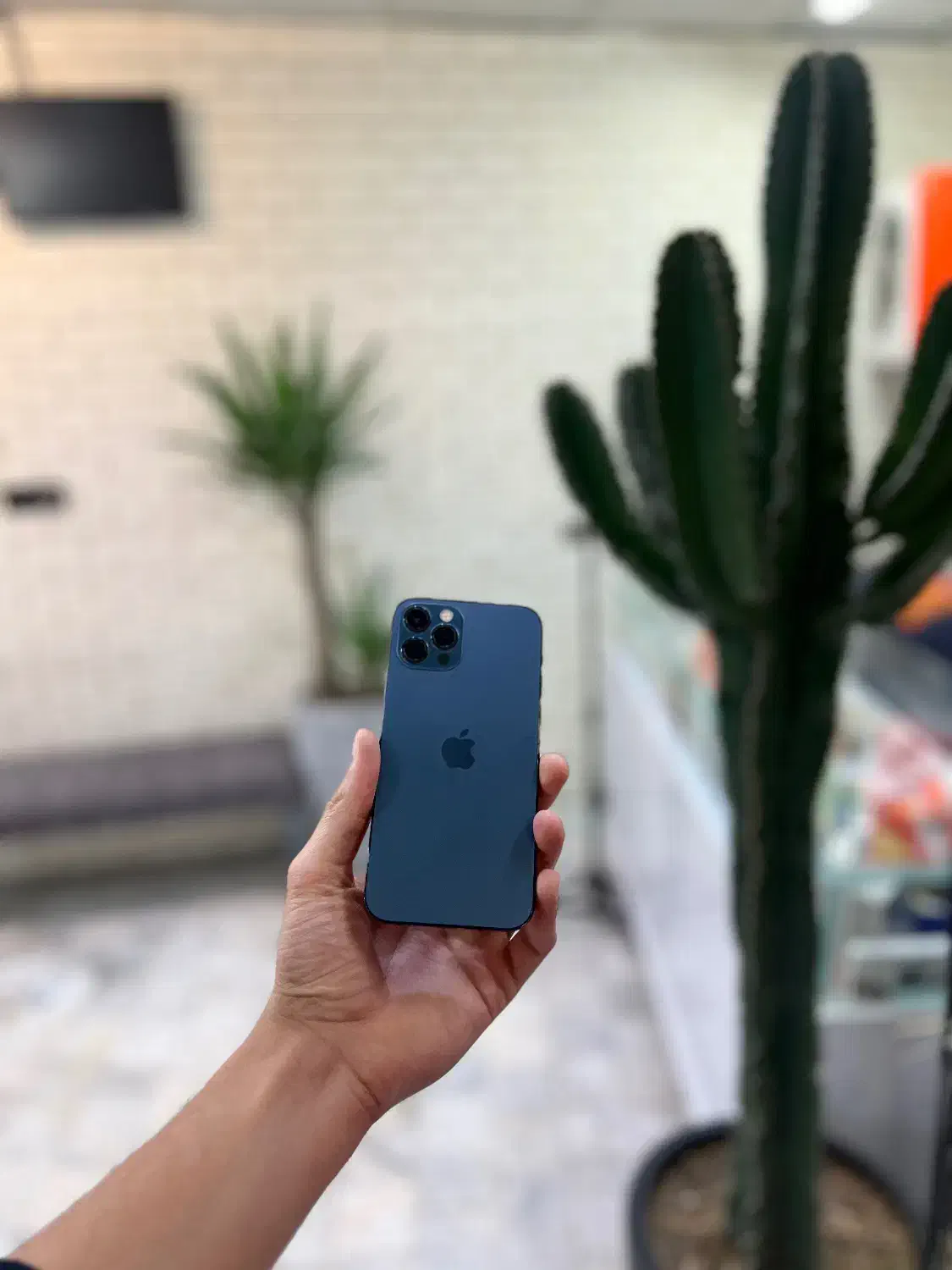 ایفون ۱۲ پرو|موبایل|شاندیز, |دیوار