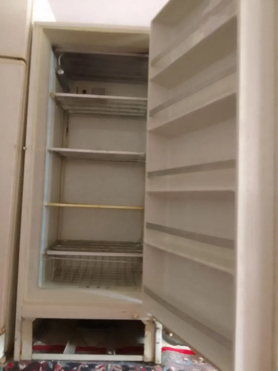 به علت جا نداشتن|یخچال و فریزر|مشهد, لقمانی|دیوار