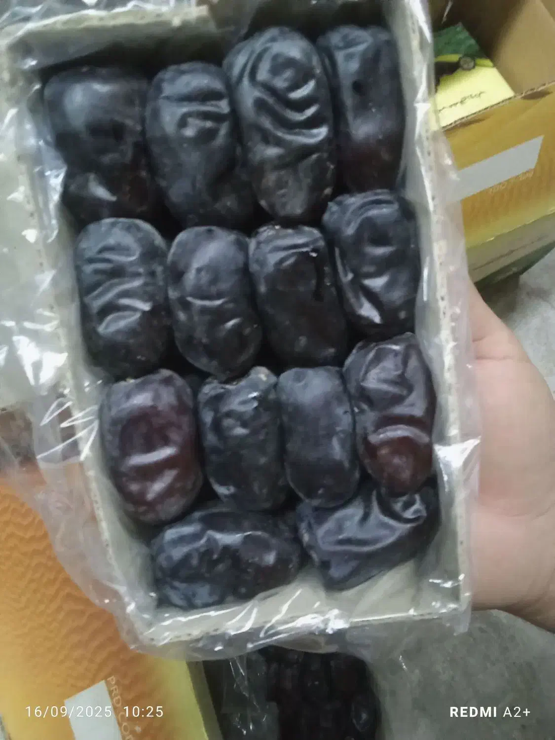 خرما مضافتی درجه یک مخصوص صادرات وداخلی|عمدهفروشی|لاشار, |دیوار