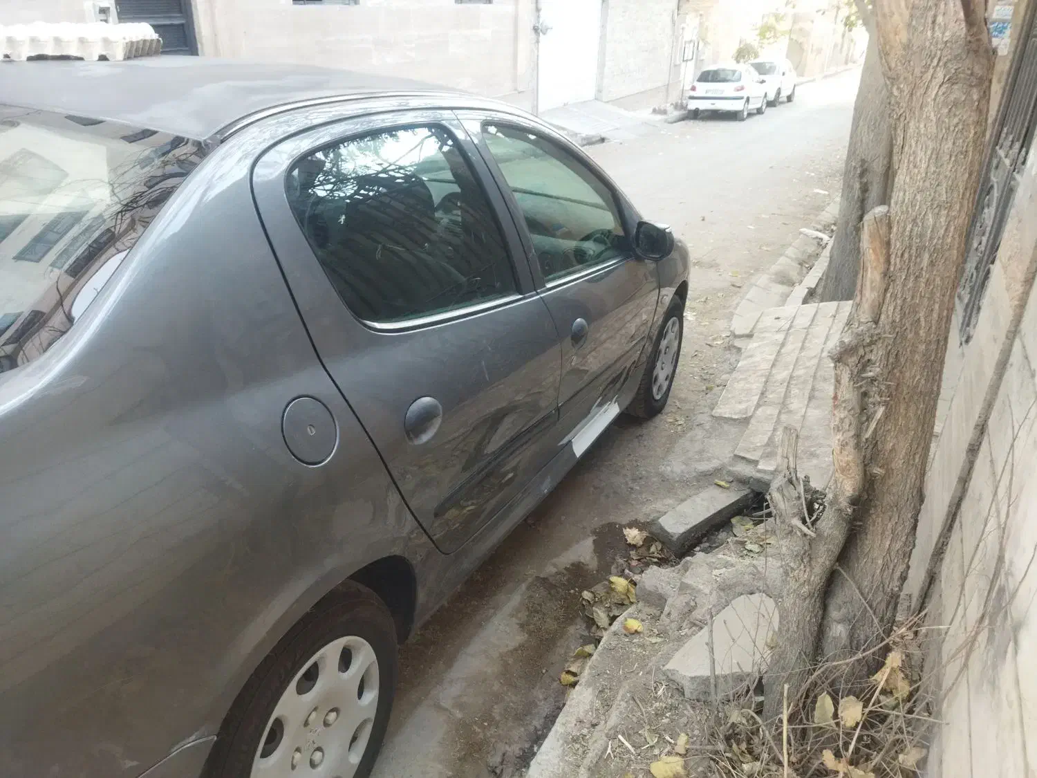 ۲۰۶اس دی وی ۱|خودرو سواری و وانت|بومهن, |دیوار