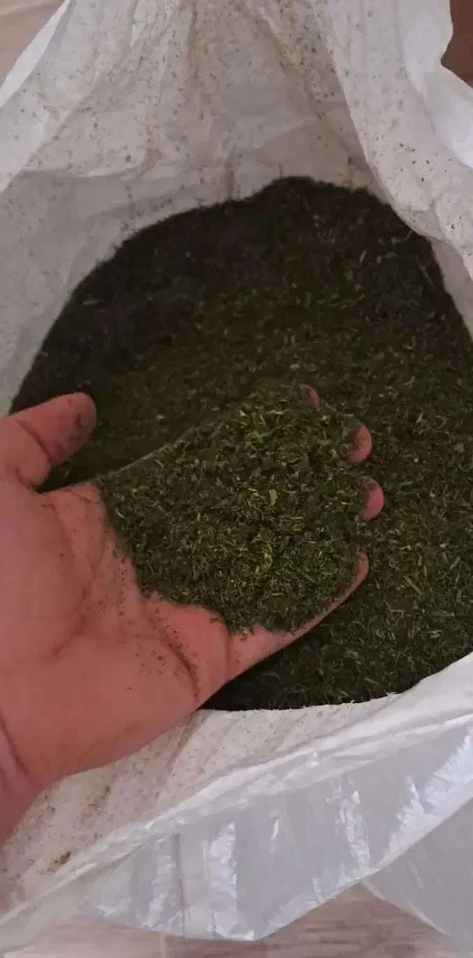 شوید خشک|خوردنی و آشامیدنی|قم, ولیعصر|دیوار