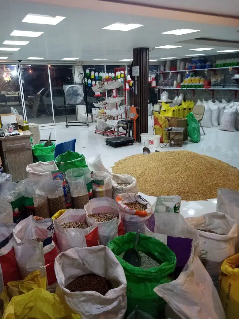 خوراک دام وطیور  دان پرسی  مرغ جوجه ومخلوطی خورموج|لوازم جانبی حیوانات|خورموج, |دیوار