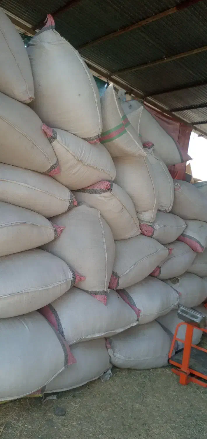 کاه‌یونجه‌خرد‌شده|خدمات باغبانی و درختکاری|جیرفت, |دیوار