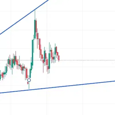 پارتنر برای ترید و بازارای مالی|فعالیت داوطلبانه تحقیقاتی|خوی, |دیوار