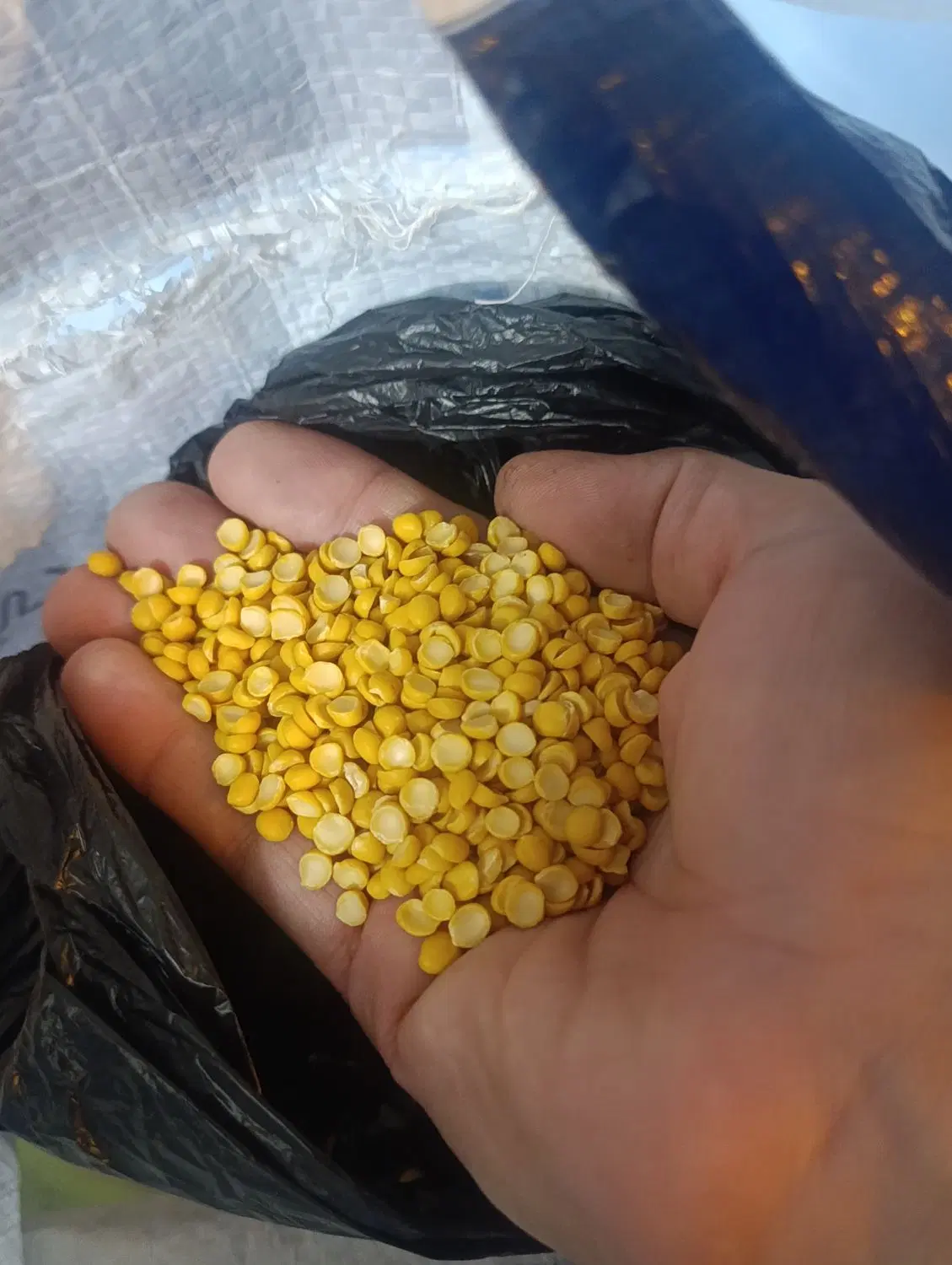 لپه|حراج|اصفهان, بهارستان|دیوار