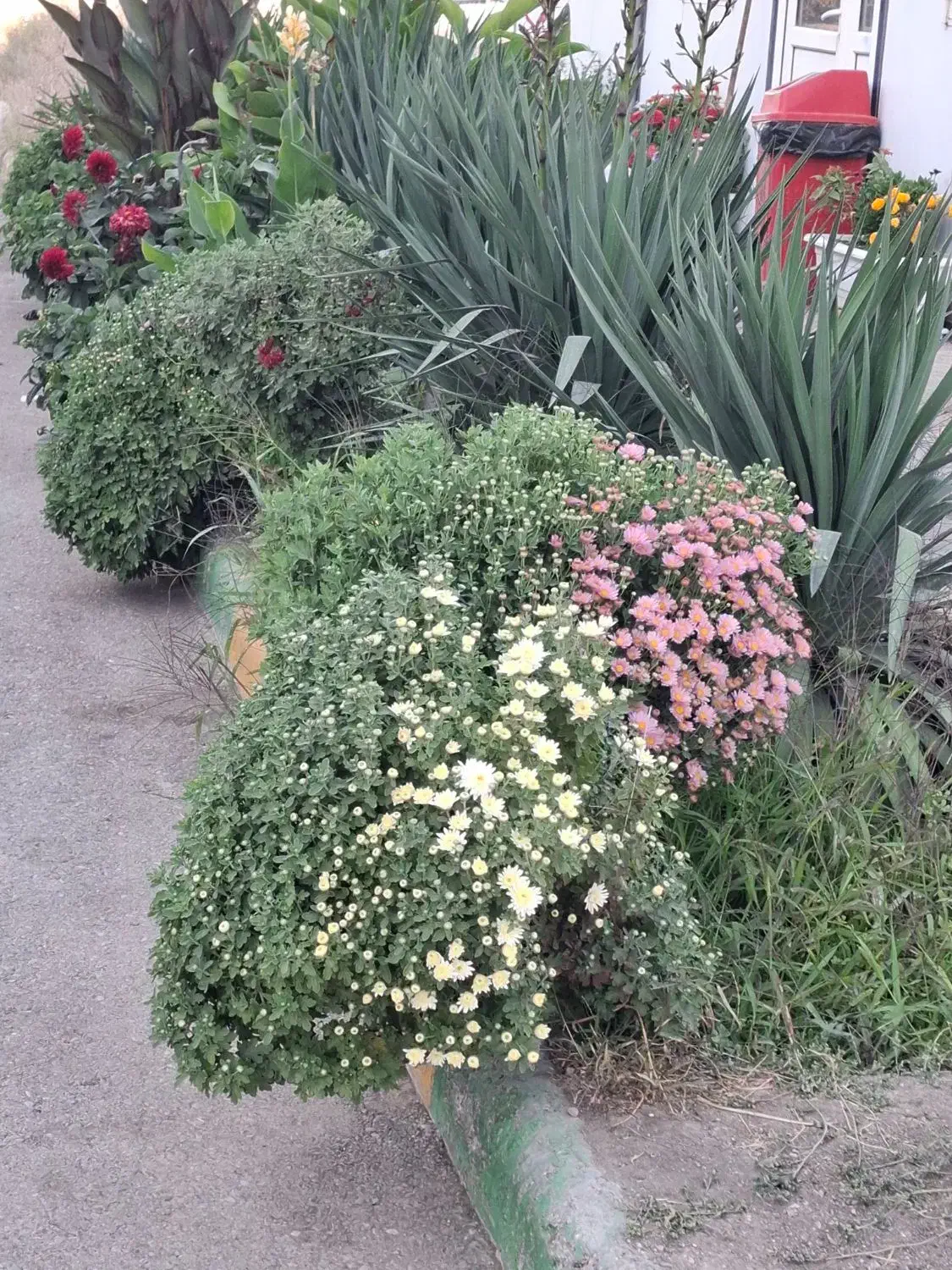 خرید برگ پاییزی انواع درختان|خدمات باغبانی و درختکاری|ملک‌آباد, |دیوار