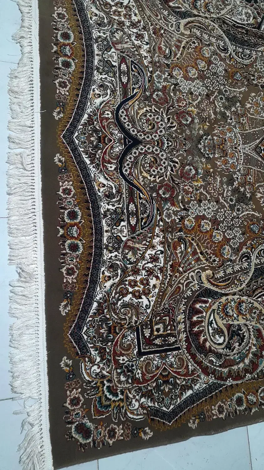 فرش شش متری ۴ تخته گردویی شاهپسند ۷۰۰شانه|فرش|سنندج, |دیوار