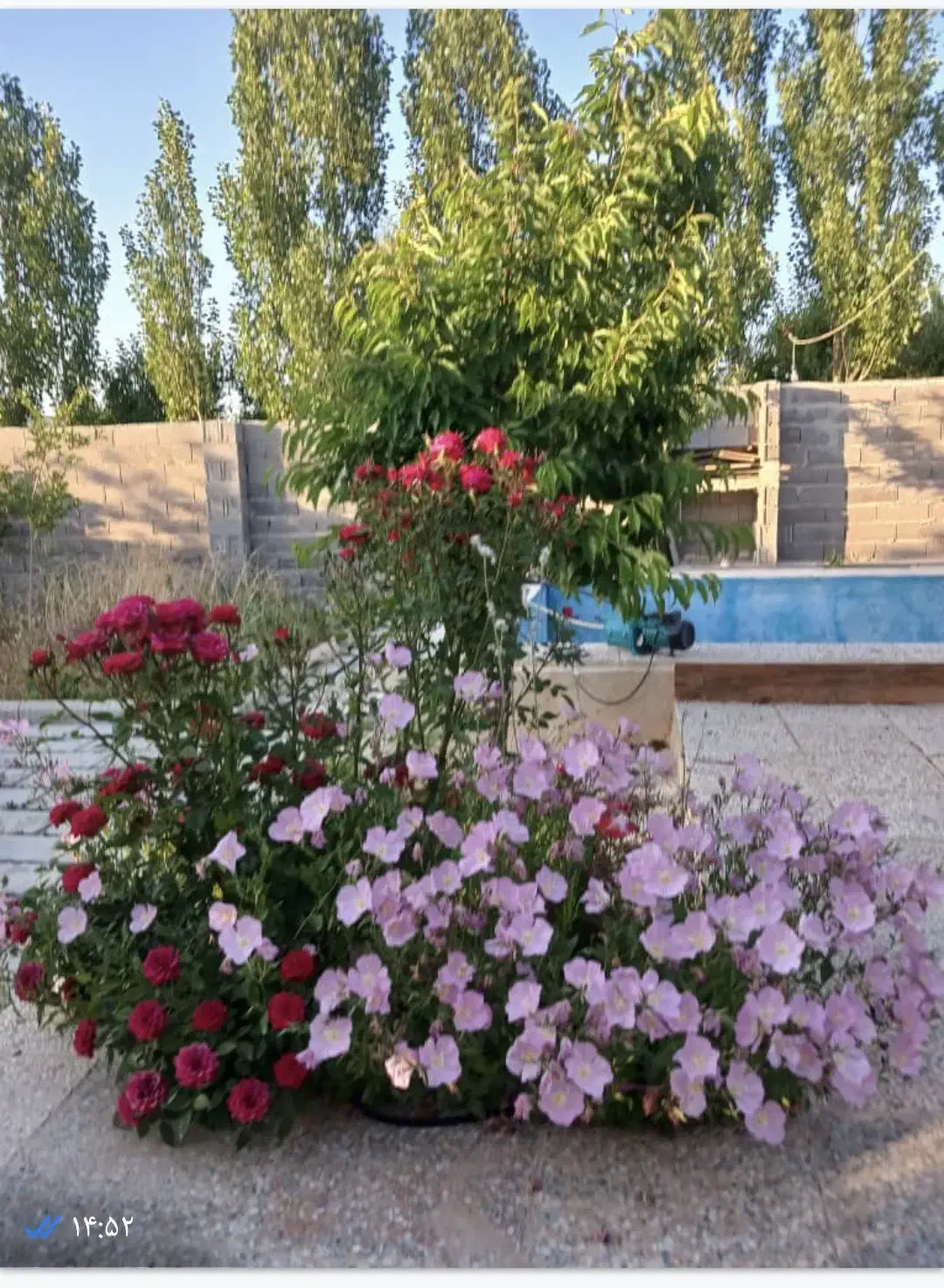 فروش باغ شهری در شیراز سیاخ دارنگون مجتمع گلابدره|فروش زمین و ملک کلنگی|شیراز, شهرک گلدشت حافظ|دیوار