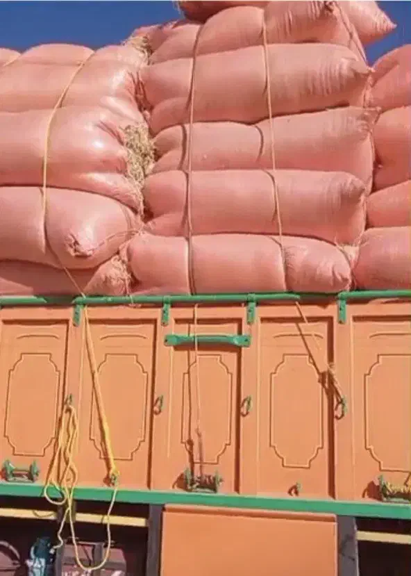 خوراکی با کیفیت و فوق‌العاده برای انواع دام|حیوانات مزرعه|بند زرک, |دیوار