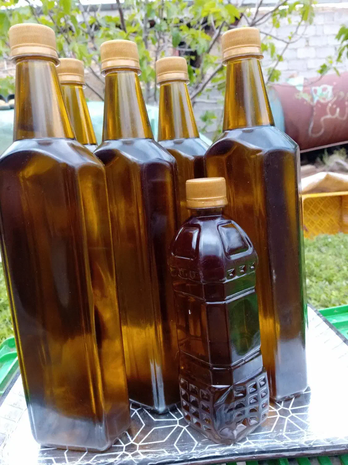 زیتون کنسروی بی هسته و روغن زیتون درجه یک بشر|عمده‌فروشی|طارم, |دیوار